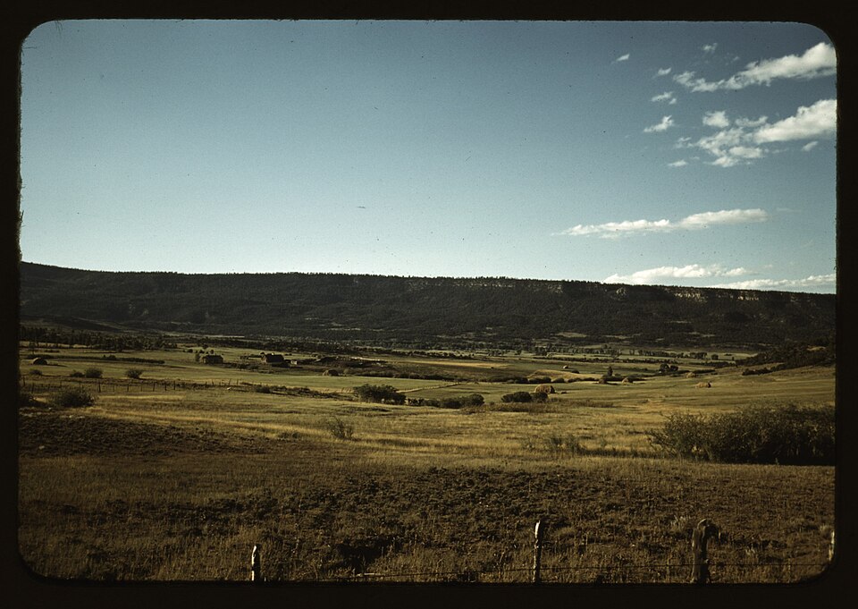 Pleasant Valley near Ridgway