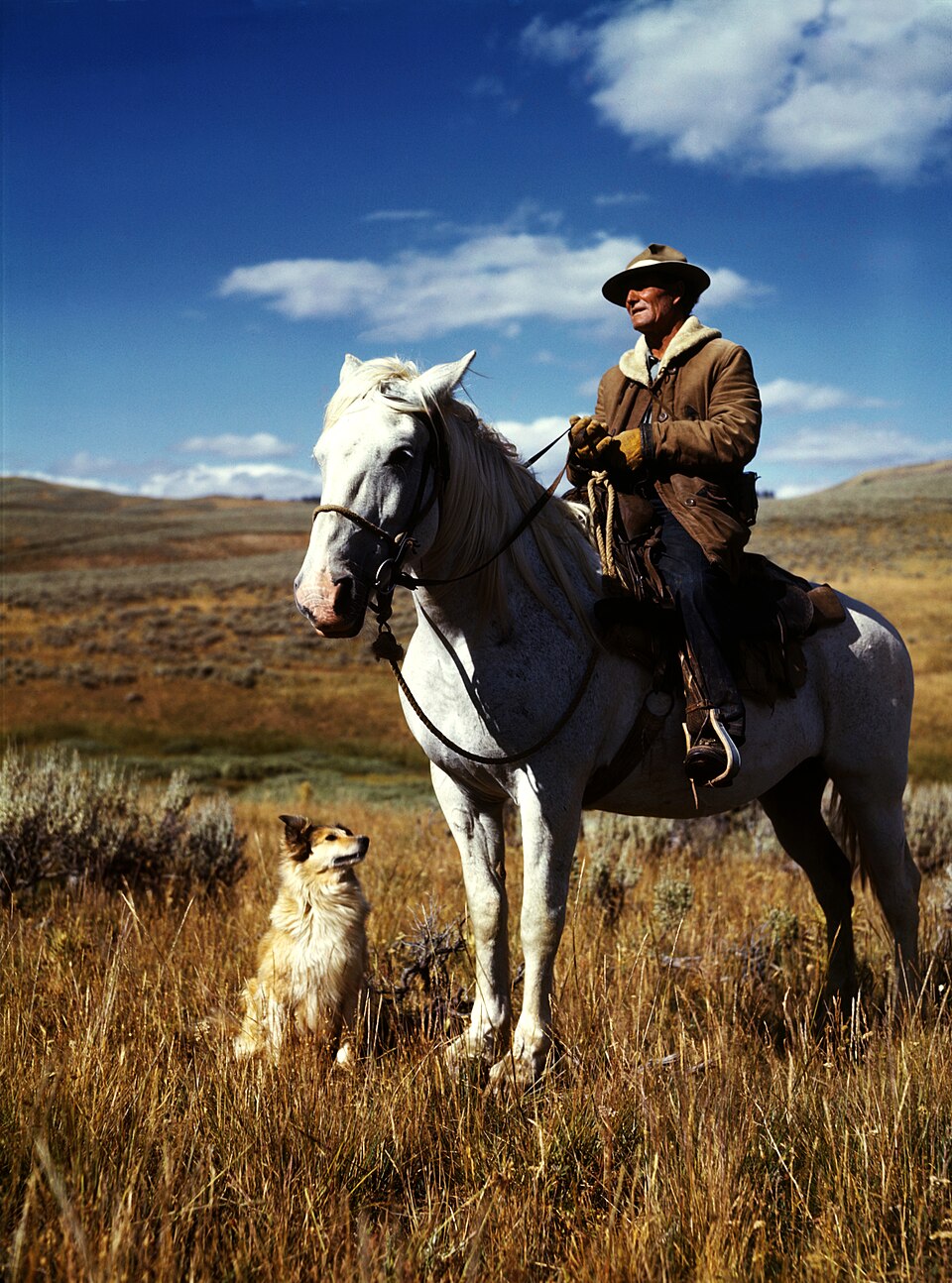 Shepherd with horse and dog, Gravelly Range